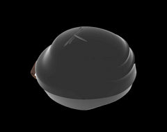 Helmet case