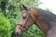 Wednesday Bridle - Week Collection