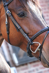 Paris Noseband - One Collection