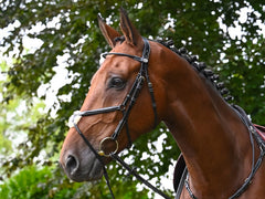 Monday Bridle Mexican Noseband - Week Collection