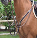 Elastic Breastplate and martingale