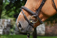 Crystal Bridle flash noseband - Week Collection