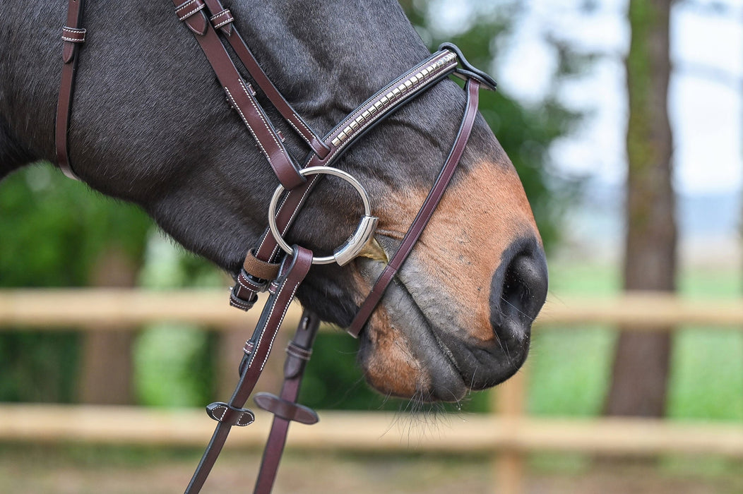 Clincher Bridle - One Collection Premium