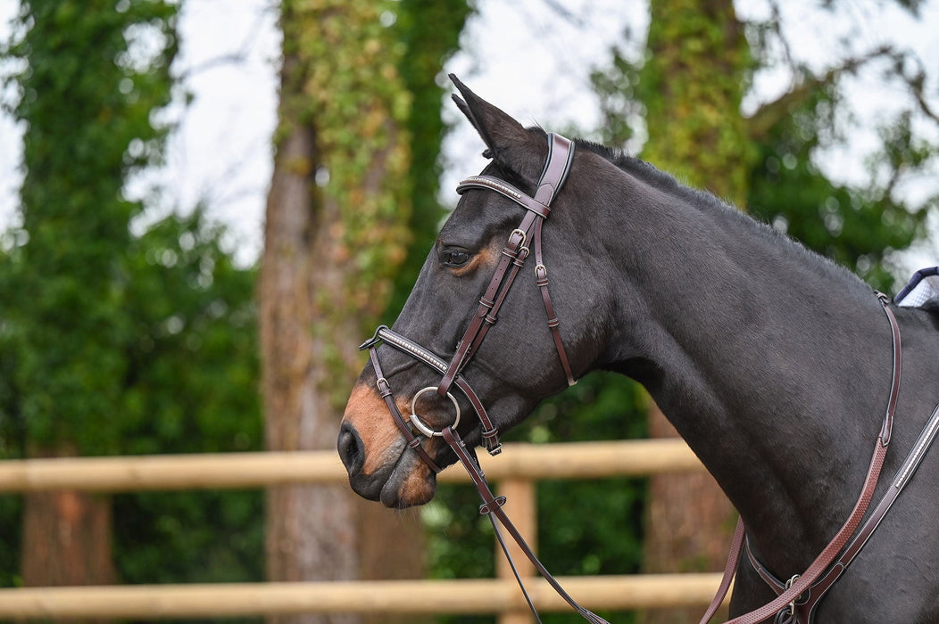 Clincher Bridle - One Collection Premium