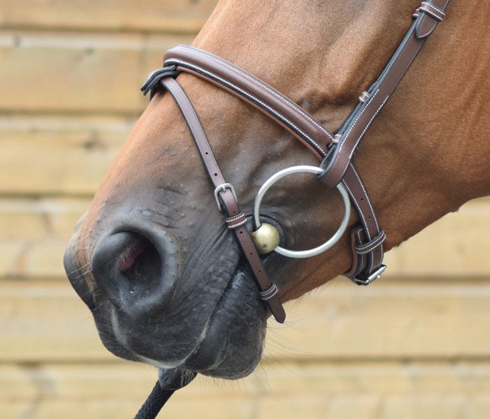 London Noseband - One Collection