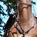 Elastic Martingale for breastplate