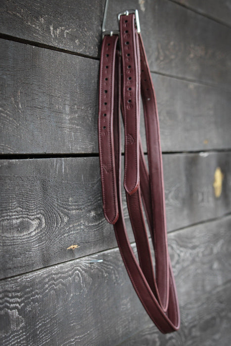 Leather Stirrup Straps