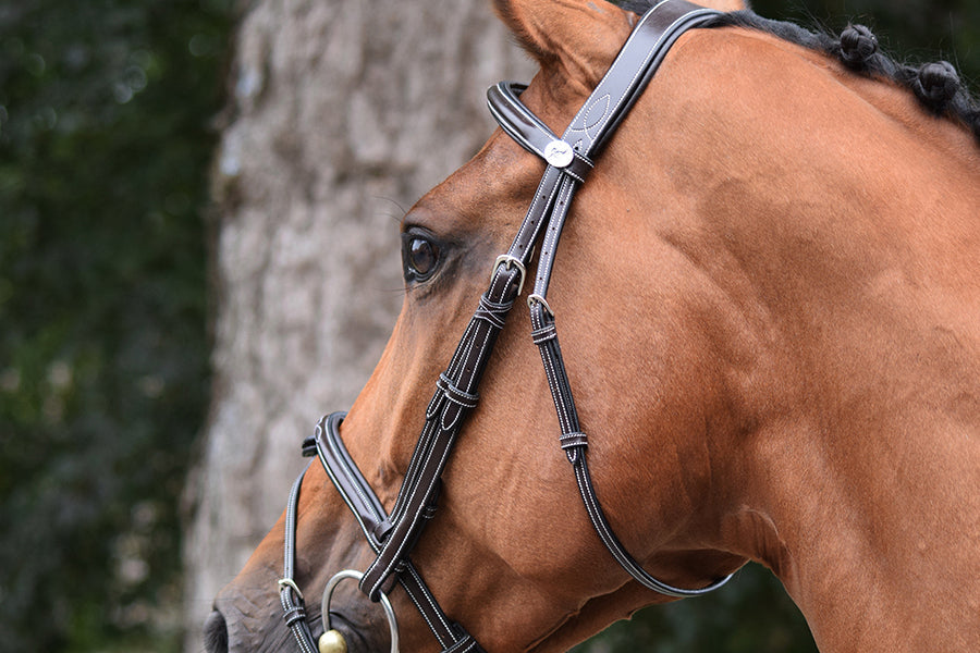 Thursday Bridle flash noseband - Week Collection