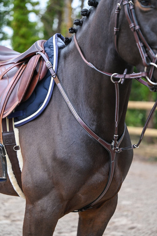 Clincher Breastplate and martingale - One Collection Premium