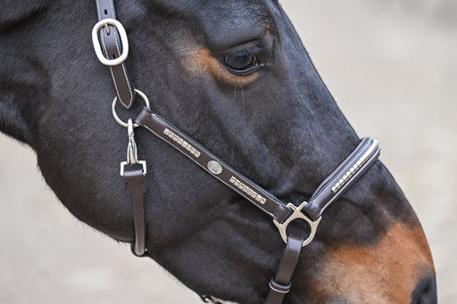 Clincher Halter - One Collection Premium