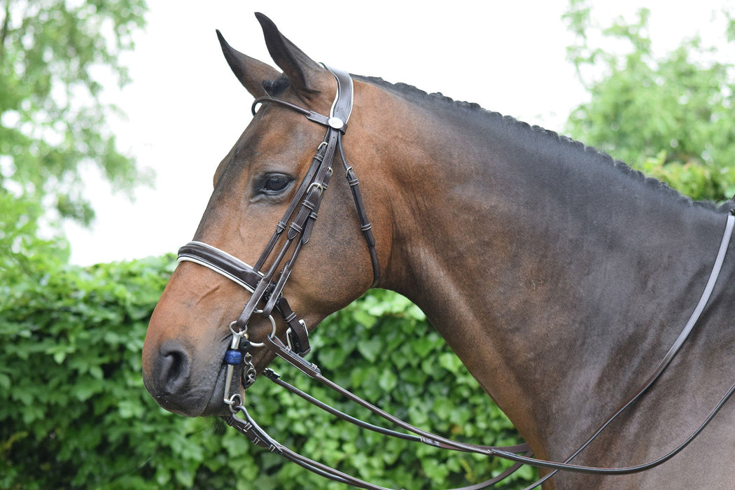 Patent Double Bridle - Week Collection