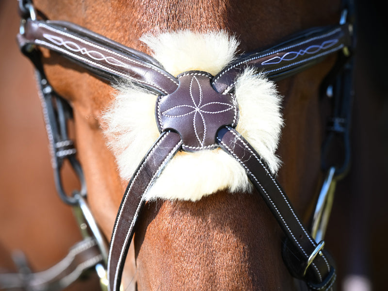 Wednesday Bridle Mexican Noseband - Week Collection