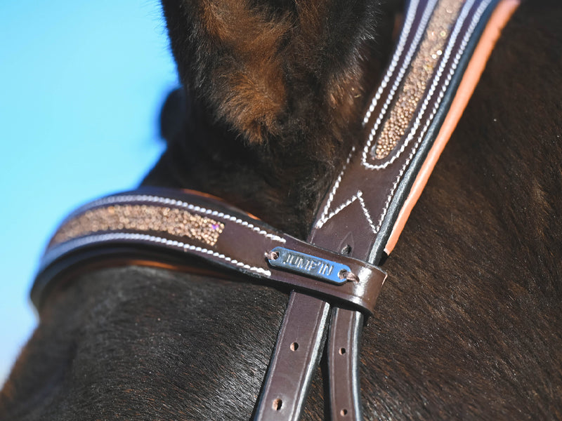 Carat Bridle - One Collection Premium