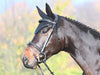 Carat Bridle - One Collection Premium