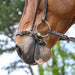 Chain Drop Noseband