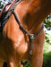 Wednesday Breastplate - Week Collection