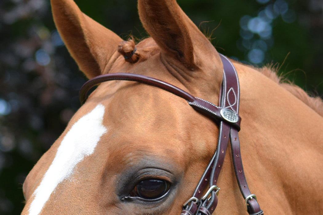 Monday Brow band