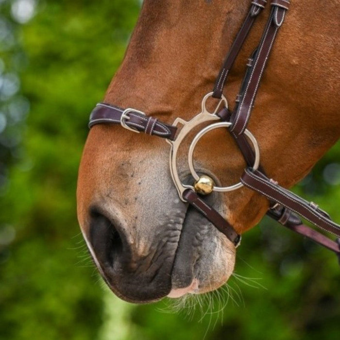 Hackamore Noseband