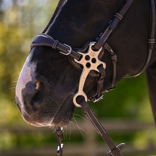 Hackamore protection 0093