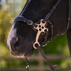 Hackamore protection 0093