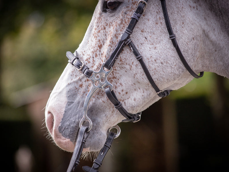 Leather Curb Chain for hackamore