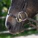 Kineton Noseband