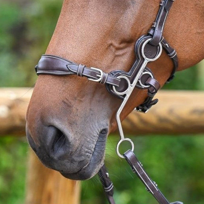 Leaden hackamore nose