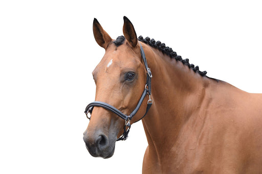 Grooming Halter - One Collection