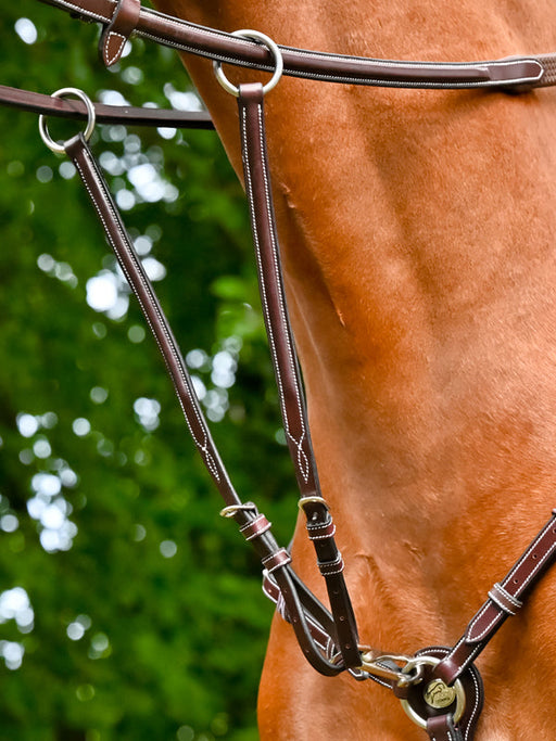 Martingale for Monday and Tuesday breastplate
