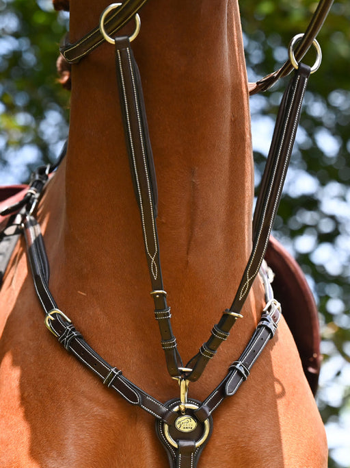 Martingale for Wednesday and Crystal breastplate