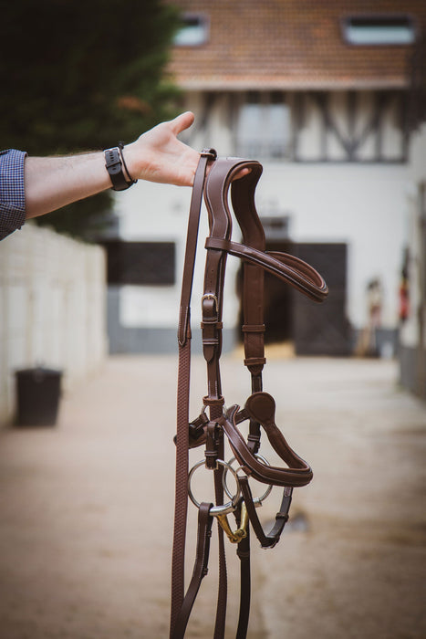 New York Bridle - One Collection